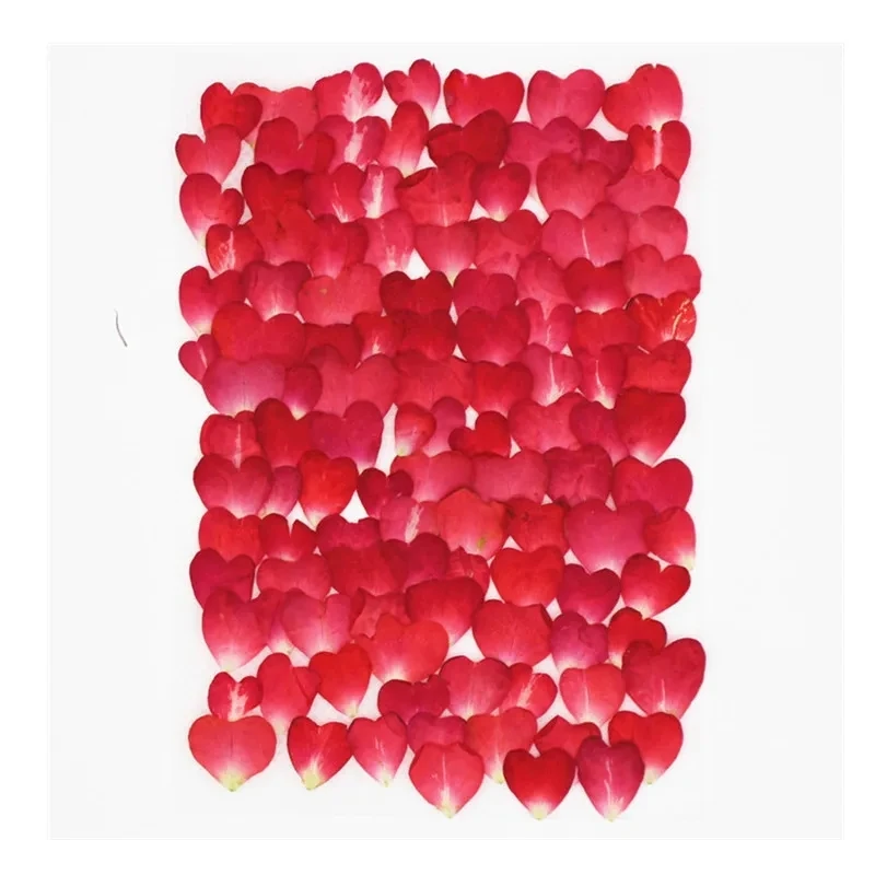 Heart Shape Pressed Dried Rose Petals 100pcs 1cm Wedding Girl Basket Aisle Scatter Dinner Flowers Petals