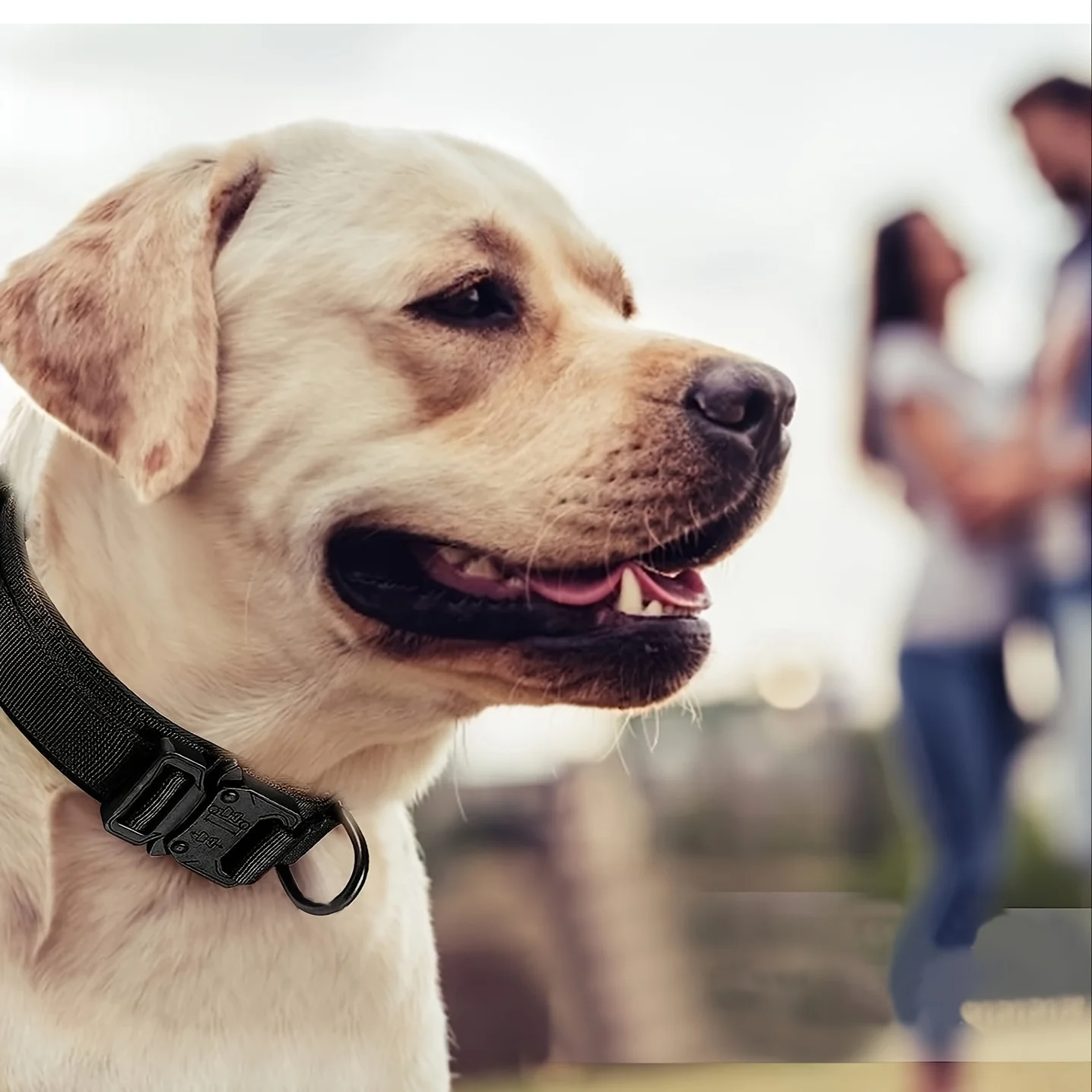 Tactical Dog Collar Image 6