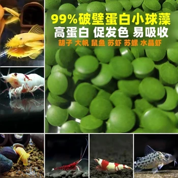 50/100/200/300pcs High Purity Spirulina Tablets Spiral Seaweed Enrichment Favorite Pets Food Fish Crystal Red Shrimp Fish Food