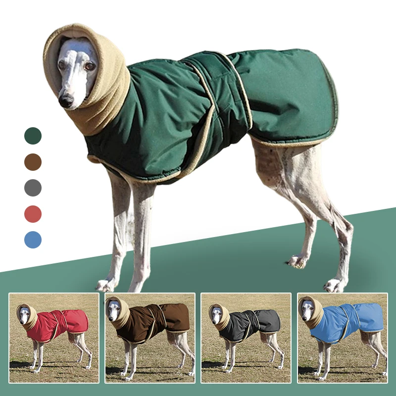 Acheter Veste Greyhound manteau d'hiver grands vêtements trou de plomb  chien sweat à capuche épais