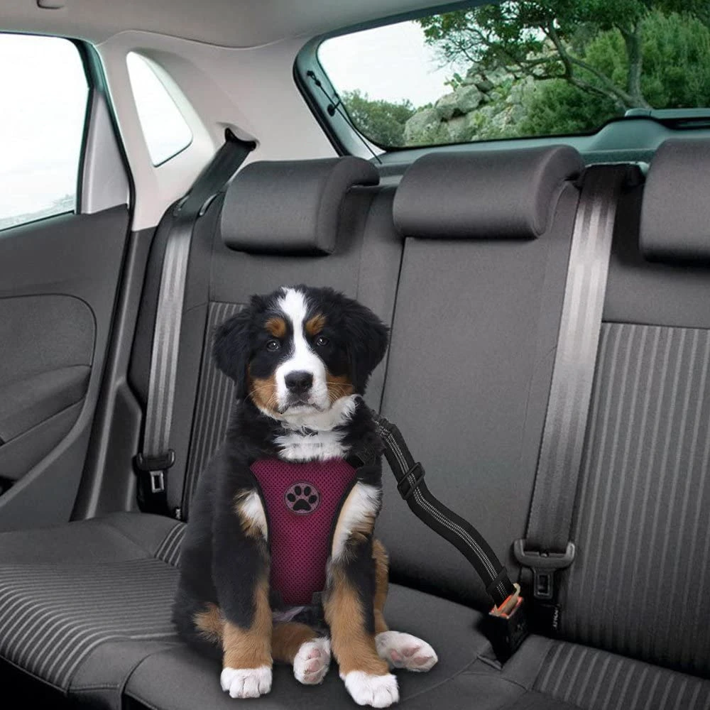 

Car Seat Belt & Safety Harness for Pet Dog Cat Adjustable Breathable Mesh Harness with Secure Leads in Vehicle for Travel Trip