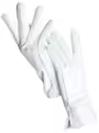 White Standard