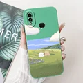 Case-c60