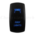 ROOF LIGHT