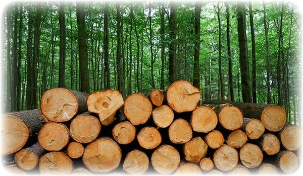Runder Holz knopf für Kinder kleidung, Laser blume, Näh zubehör, Dekorative Knöpfe, 2 Löcher, 15mm, 30PCs, 60PCs – Detail 1