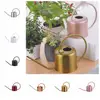 Rustproof Leakproof Watering Can Sprinkler Large Capacity Comfortable Spray Kettle Thickened Long Nozzle Watering Pot Plants 5