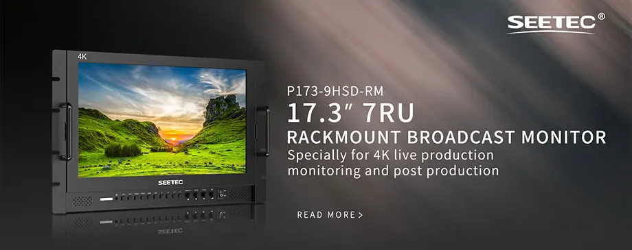 P173-9HSD-RM 17.3 Inch 1920x1080 Rack Mount Broadcast LCD Monitor with V Battery