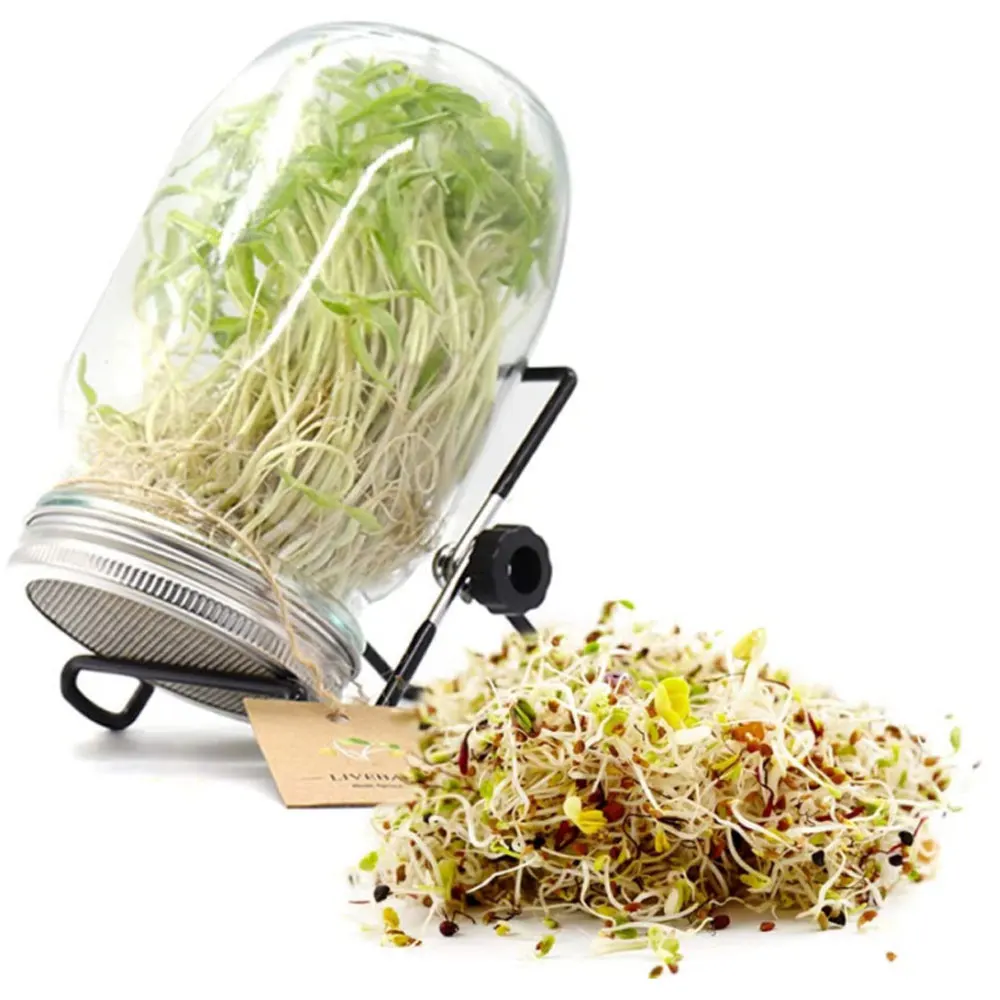 Sprouting Jars Kit Wide Mouth Sprouting Jar Germination Cover Sprouter Mason Jars support shelf