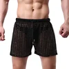 Men's Sexy Big Mesh Hollow Out Boxer Shorts Men Leisure Household Transparent Nets Board Shorts Male Underwear 5
