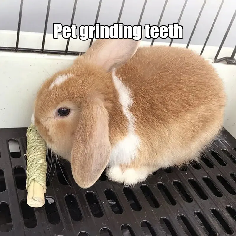 1PC Pet Straw Sweet Bamboo Roll Rabbit Totoro Cat Guinea Pig Guinea Pig Molar Food Snack Toy Perfect Gift pet tooth grinding snacks