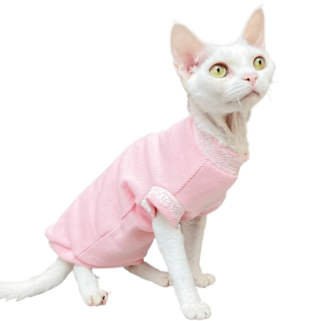 C&c Strips Spring Summer Sphinx Apparel Pet Clothes Cotton Beerus Devin