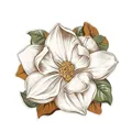 Image 4