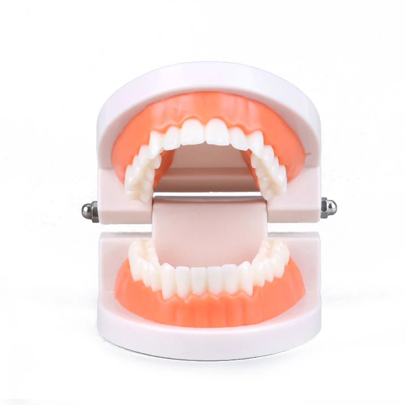 Montessori Educational Toys for Children Early Learning Kids Intelligence Brushing Tooth Teaching Aids Simulated Practical Life - 2
