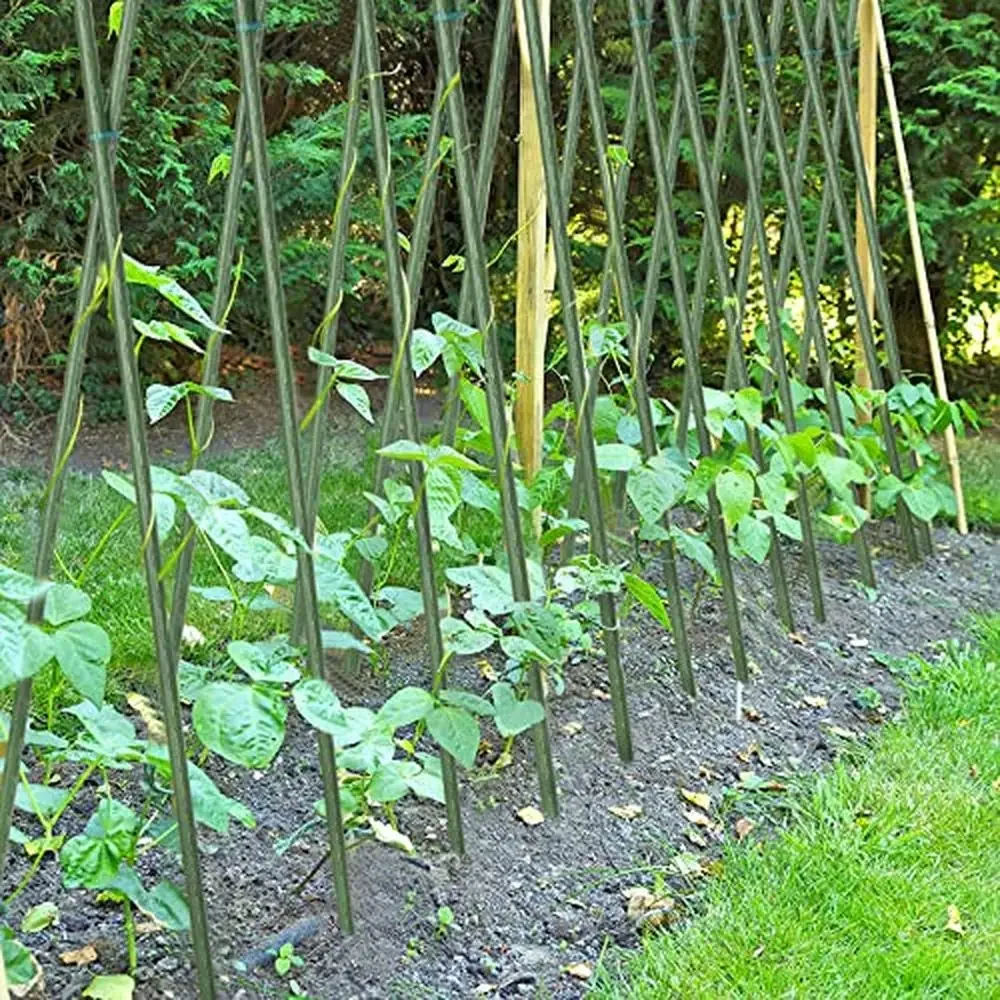 Plant Support Stakes 5ft Steel Climbing Sticks Tomato Beans Potted Vines Set of 20 Durable Garden Poles