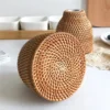 Nordic Style Rattan Vase,Japanese style Porcelain Flower Vases,Tabletop Plants Pot Terrarium for Plants Living Room Home Decor 5