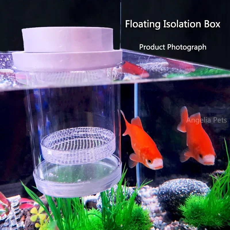 Plastic Floating Fish Breeding Isolation Box Aquarium Breeder