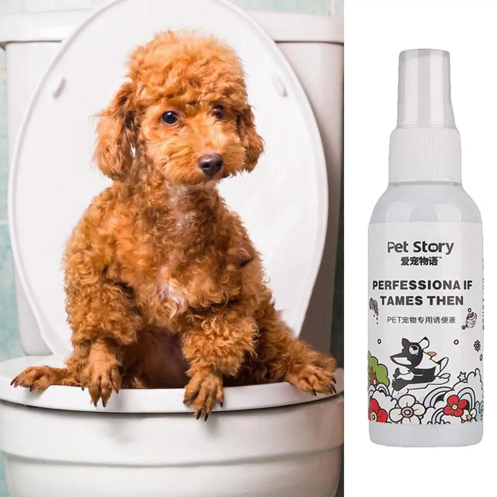 

Pet Training Toilet Inducer Cats Puppy Pee Defecation Defecation Defecation Dogs Pets Agent Practical Kitten Indoor Positio P8W5