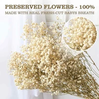100g Natural Dried Gypsophila Flower Baby Breath Bouquets Floral Gypsophila Branches for Home Decor Wedding Garland Decoration 6