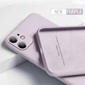 Grass Purple