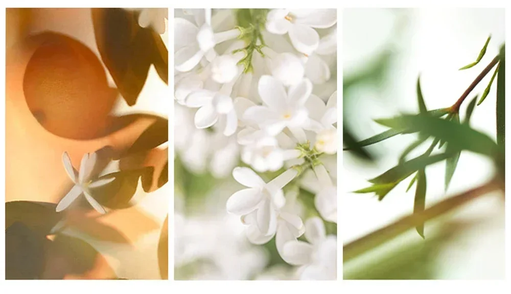 Premium 3-Piece Men’s Perfume Bottle Set with Gift Box – Multi-Material Crystal, Glass,... - SKU PGBB1055 - UGI Packaging