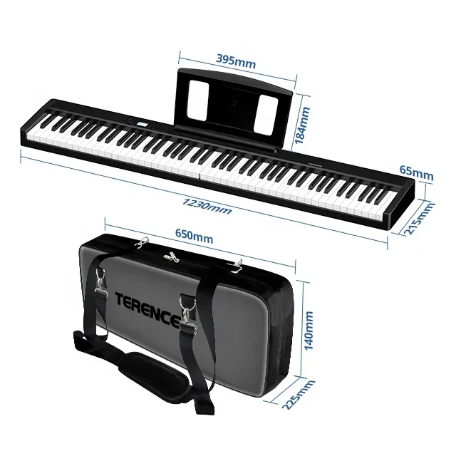 TERENCE V30 Folding Piano 88鍵盤 mqdefault.jpg