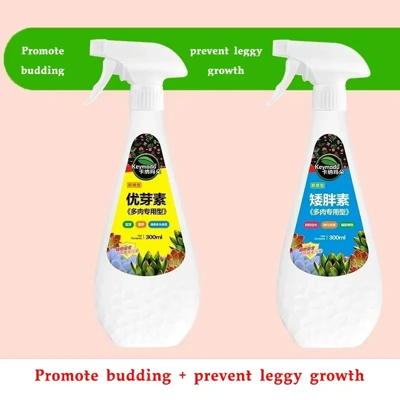 Eugenin Organic Granules for Healthy Succulent Growth - 300ml