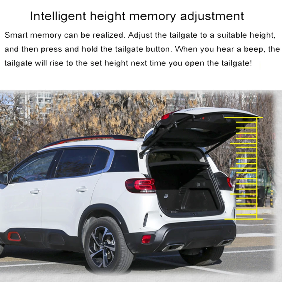 Lot De 2 Vérins De Hayon Pour Citroën C5 Aircross (à Partir De 2018) - Entraxe 600mm, Course 260mm