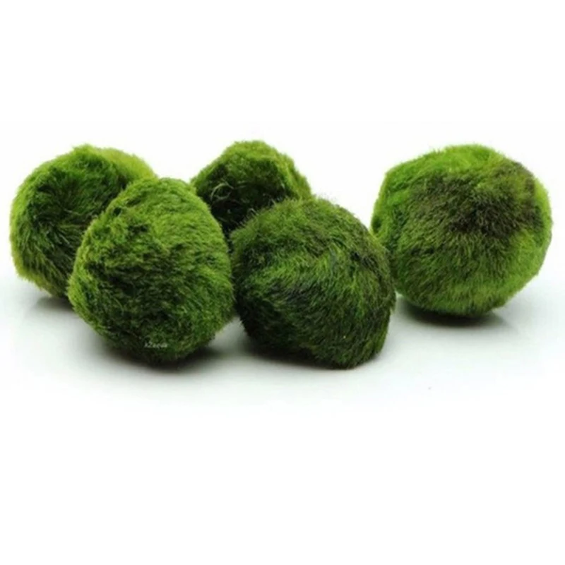 Artificial Aquarium Plants Fish Tank Ornaments 3-4cm Marimo Moss Balls Live Aquarium Plant Algae Fish Shrimp Tank Ornament Simulation Green Algae Balls