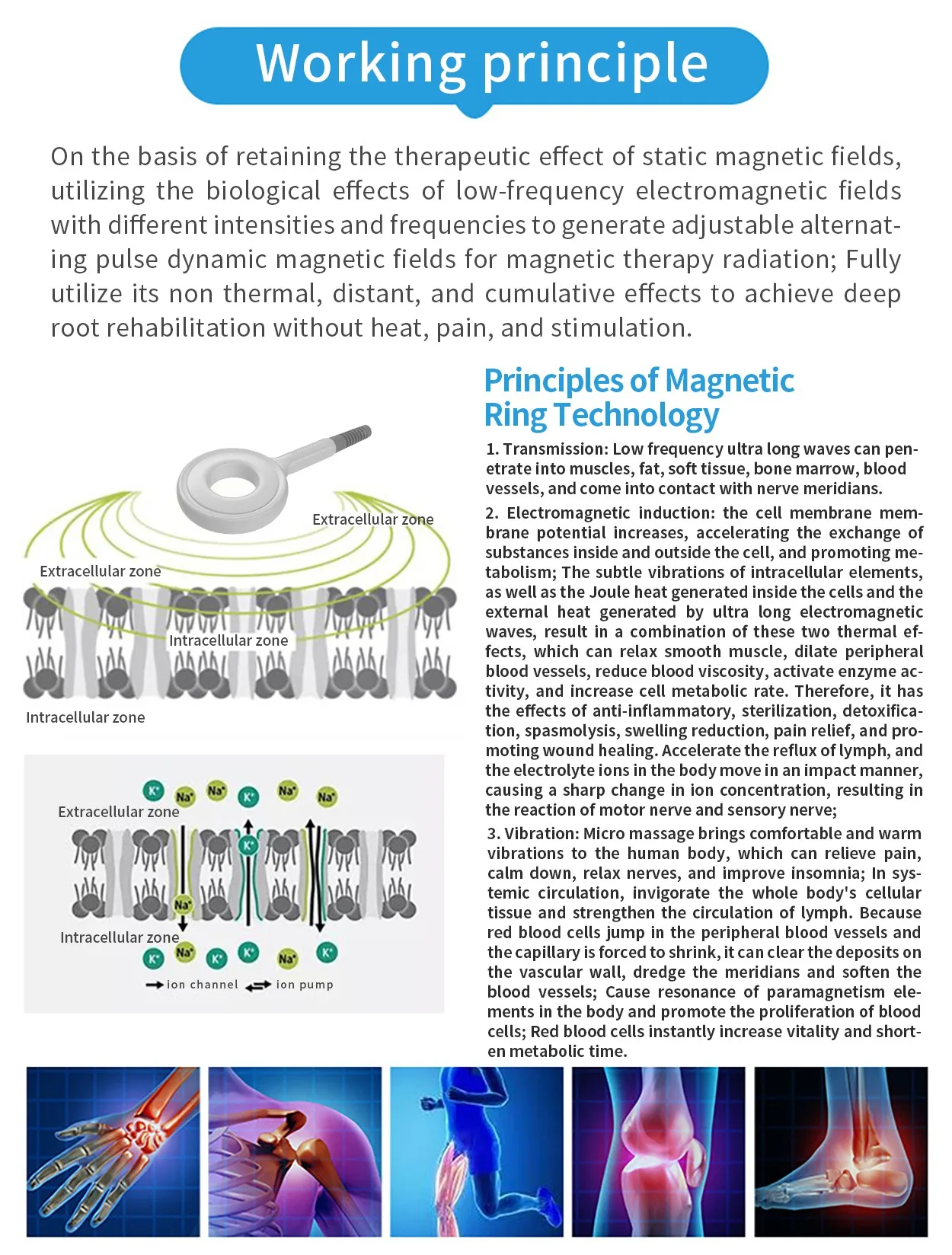 Tragbare extrakorporale Magnetotherapie Hochfrequenz-Physiotherapie Magnetfeld-Therapie Magnetfeld-Therapie Schmerzlinderungsgerät – Detail 2