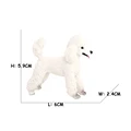 Poodle B