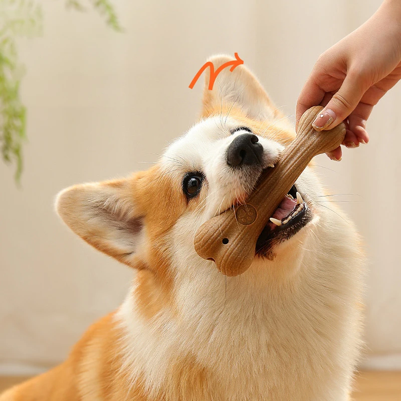 Bite Resistant Pet Dog Chew Toys Molar Teeth Clean Stick Interesting Pine Wood Cute Bone Shape Durable Pet Accessories pet dogs snacks molar sticks for teeth training resistant to bite bone food stick bone products gnawing teeth toys pet toys