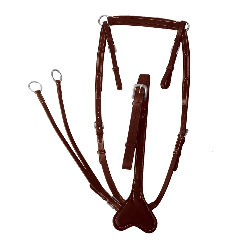 Cavpassion-Cowhide Halter and Bridle Equipment for Training, Equestrian Saddlery8214016, Low Head, Cowhide