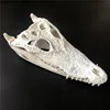 1 animal skull taxidermy collection ornament 20- 25 cm Animal skull specimen 2