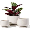 Plant Pots, 4.1+5.1+6.5 inch, Set of 3, Ceramic Planters with Drainage Hole and Saucer, Indoor Flower Pot with Hole Mesh Pad 1
