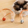 Cat Interactive Ball Toys Interactive Bouncy Ball with Feathers Cat Toys for Indoor Cats and Kittens 5