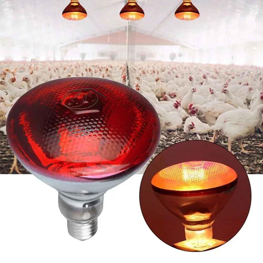 220V Poultry Heating Bulb 100/150/200/275W Infrared Insulation Heating for Reptiles Plants Amphibians Pets Livestock