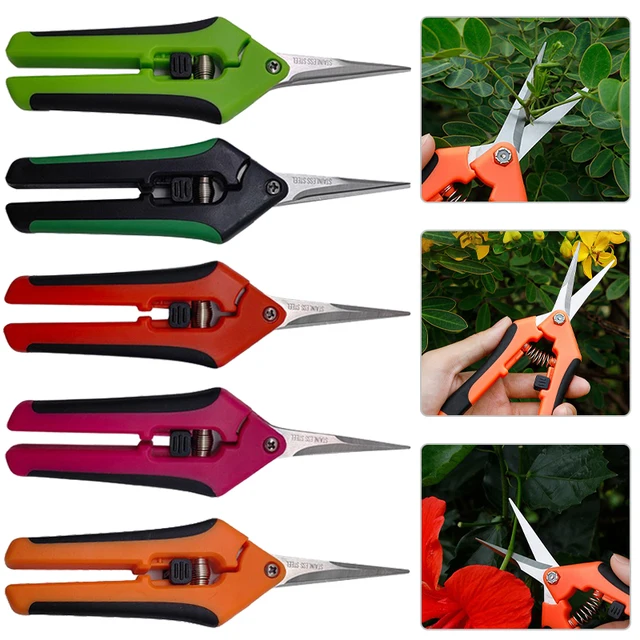 Garden Stainless Steel Flower Scissors Gardening Shears Fruit Grape Thinning Pruning Shears Straight Elbow Gardening Scissors Garden Stainless Steel Flower Scissors Gardening Shears Fruit Grape Thinning Pruning Shears Straight Elbow Gardening Scissors