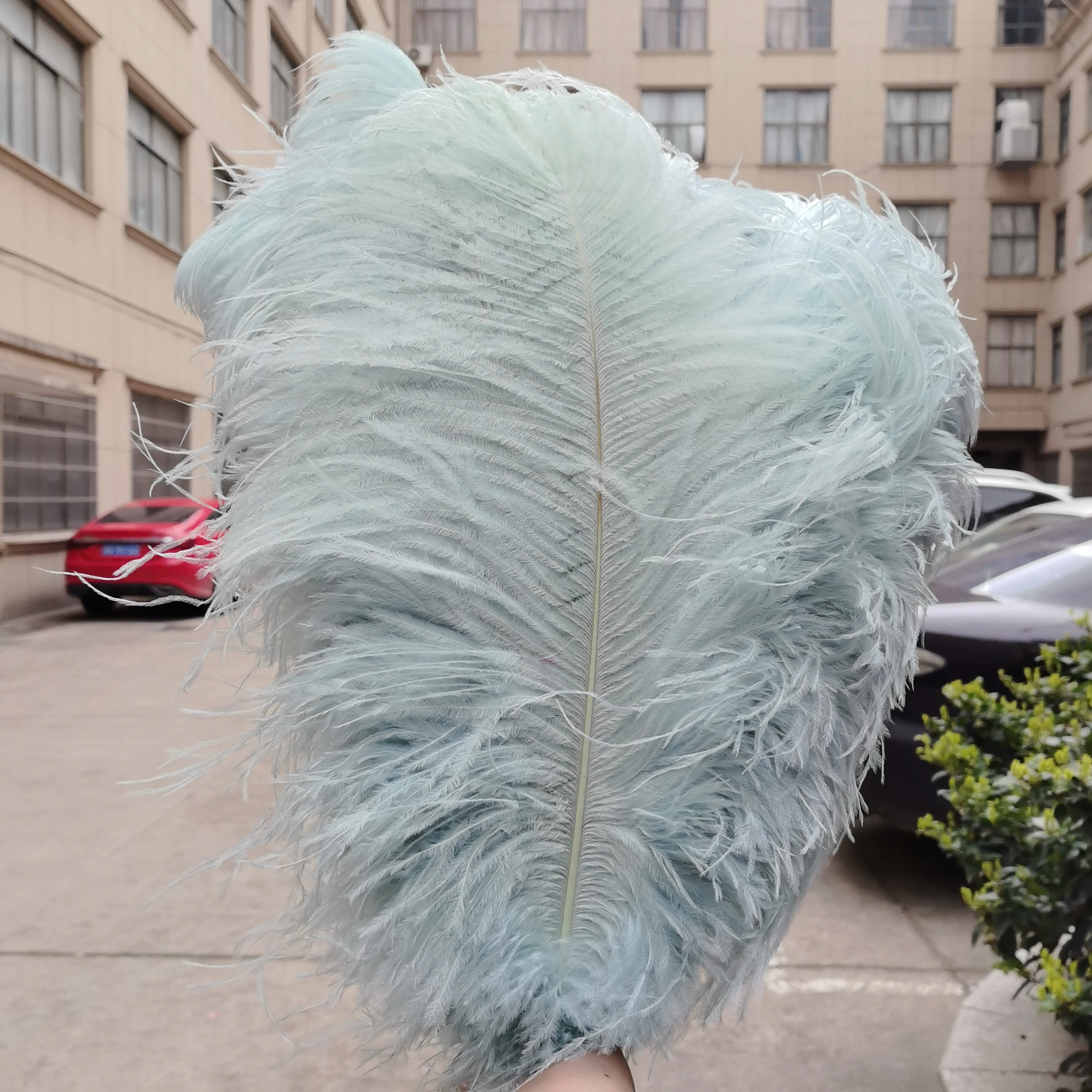 15-60cm Natural Ostrich Feathers Craft Feathers Natural Feathers for DIY Wedding Party Stage Costume & Home Decor