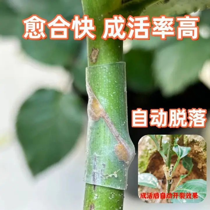 50개입 정원용 특수 접목 슬리브 토마토 접목 슬리브 채소 가지 접목 슬리브 정원 식물 용품