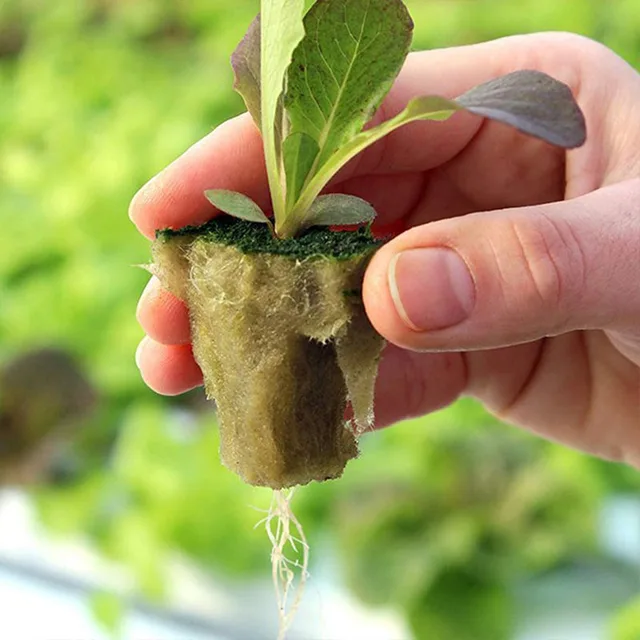 Ültetési Szivacs Termesztése Kerti Indítókockák Szikla Gyapjú Dugó Sóvárás Tenyésztési Szubsztrát - Image 2