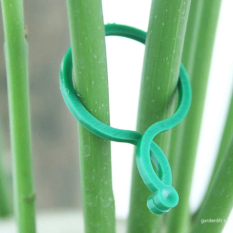 Plant Ties Plastic Plant Cable Ties Plastic Plant Supports Plant Clips Plastic Plant Clips Plant Climbing Support Plant Stem Support Plant Support Stick Plant Support Connector Plant Support Racks 20/50/100Pcs Plastic Garden Vine Strapping Clips Tie Buckle Ring Hook