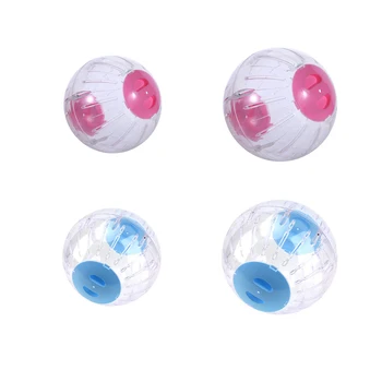 Small Pet Running Ball 1