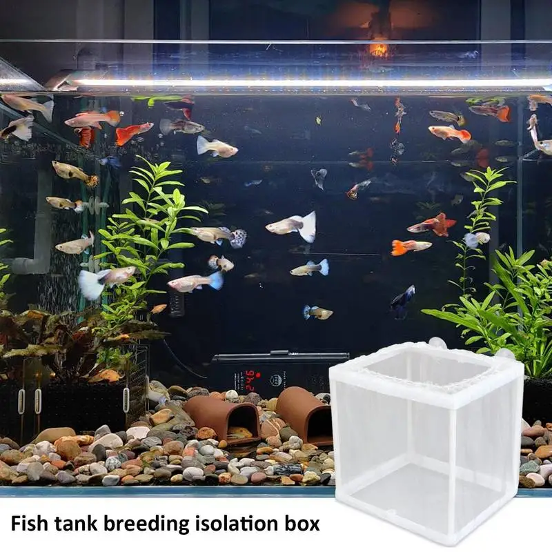 Fish Breeder Box with Suction Aquarium Breeder Box Fish Incubator Mesh tank breeding isolation box Fry Hatchery