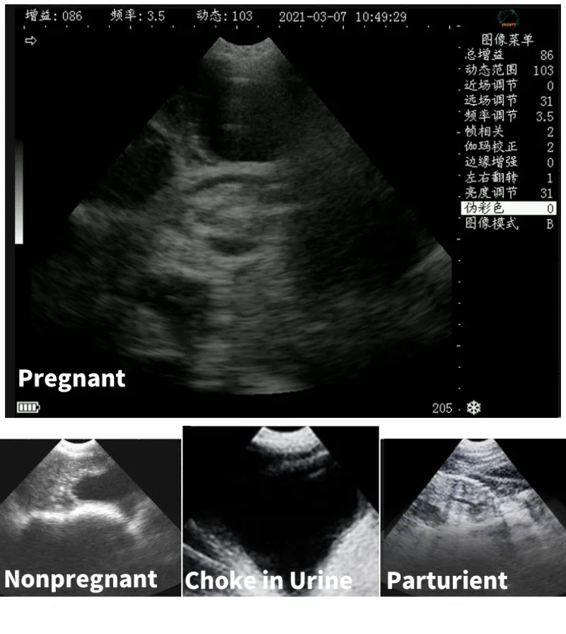 Description Picture 6 of itemVeterinary Ultrasound Scanner Portable Pregnancy Testing For Cattle Cow Pig Sheep Horse Farm Animals Pet B-ultrasound Equipment
