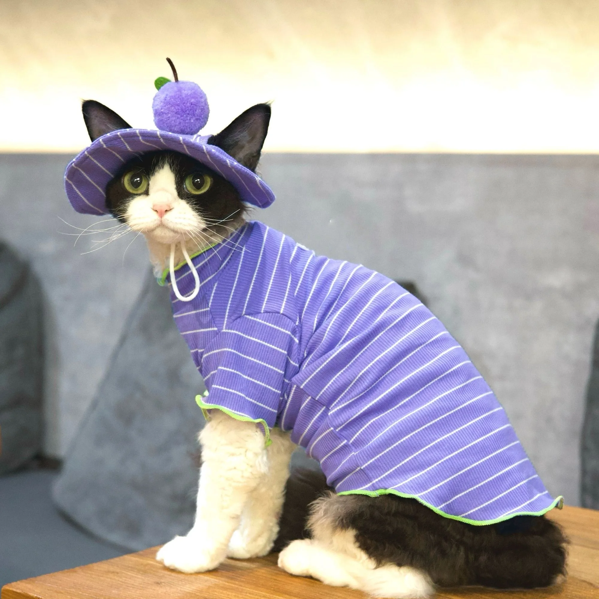 2피스 고양이 여름 의상 세트, 스트라이프 티셔츠 + 포도색 햇빛 가리개 모자,..