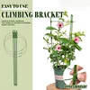 Climbing Plant Trellis Pot Plants Support Frame Trellis Climbing DIY Flower Vines Stand Garden Tomato Support Cages Flowers 1