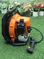 EB909 Snow Blower 42.7cc Backpack Leaf Blower High Power Two Stroke Gasoline Garden Industrial Leaf Vacuum Cleaner Extinguisher 1