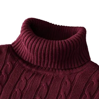 New Turtleneck Sweater Casual Men's Rollneck Knitted Sweater Keep Warm Men Jumper Woolen Sweater 2