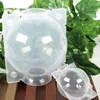 10pcs High Pressure Propagation Ball Breeding Plant Rooting Case For Garden Graft Box Sapling Equipment Graft Box 6