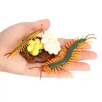 4 Stages Life Cycle of a Centipede,  Centipede Toy Figure  Painted Model 1